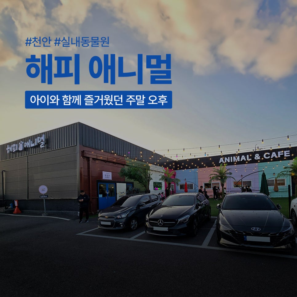 해피애니멀 이미지