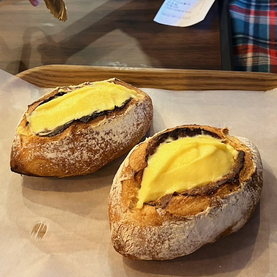 몰리하우스 이미지