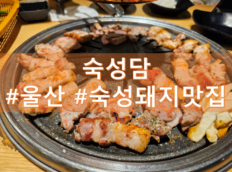 숙성담 이미지