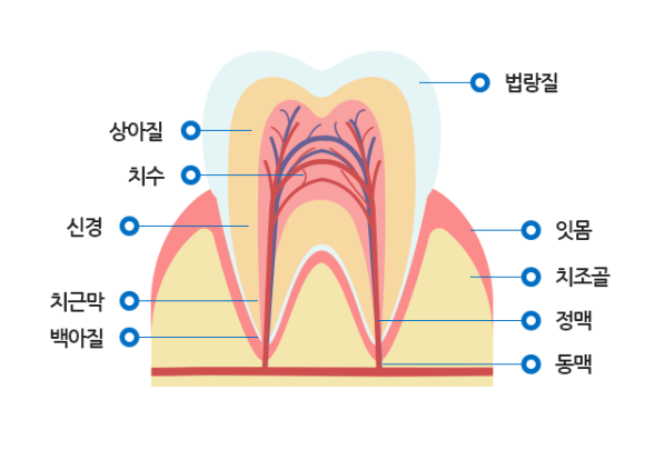 이잘하는치과 이미지