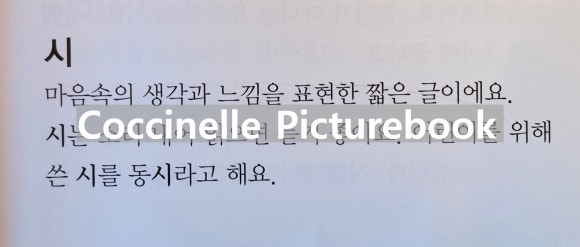 시넬 이미지