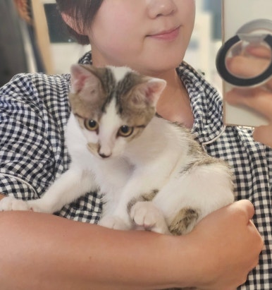 정희헤어 이미지