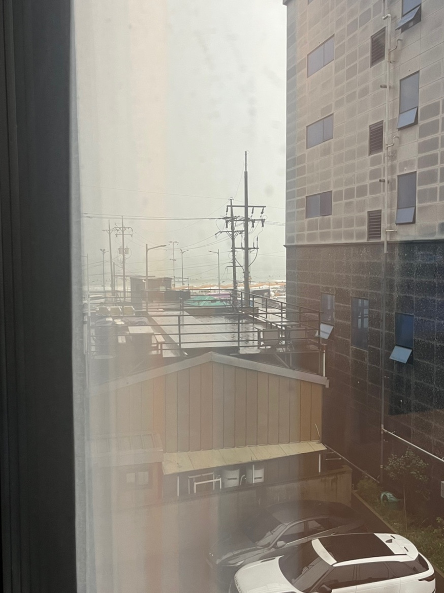 하운드 송정 이미지