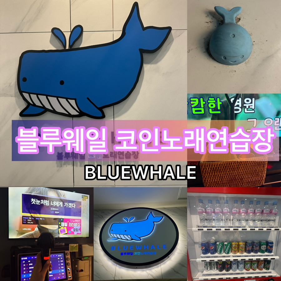 블루노래연습장 이미지