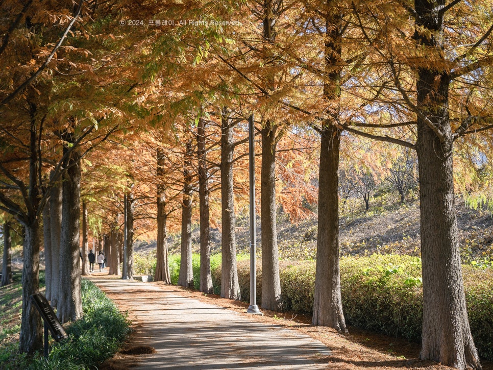 주)유니온푸드 이미지