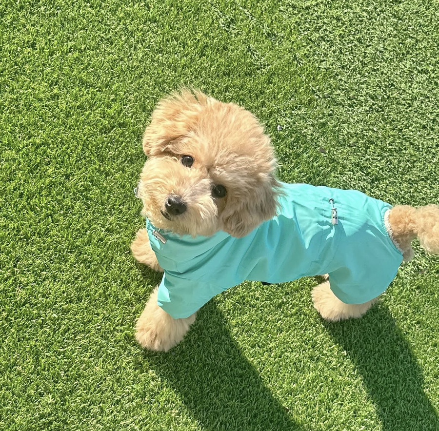 다온팜 이미지