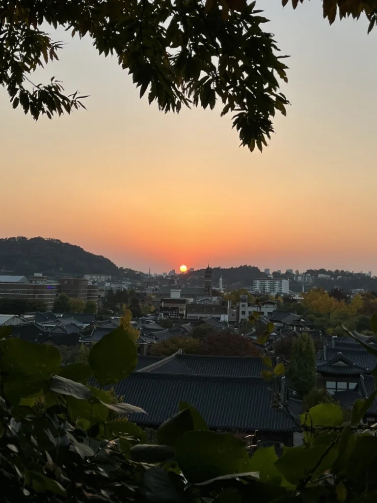 교동살래 이미지