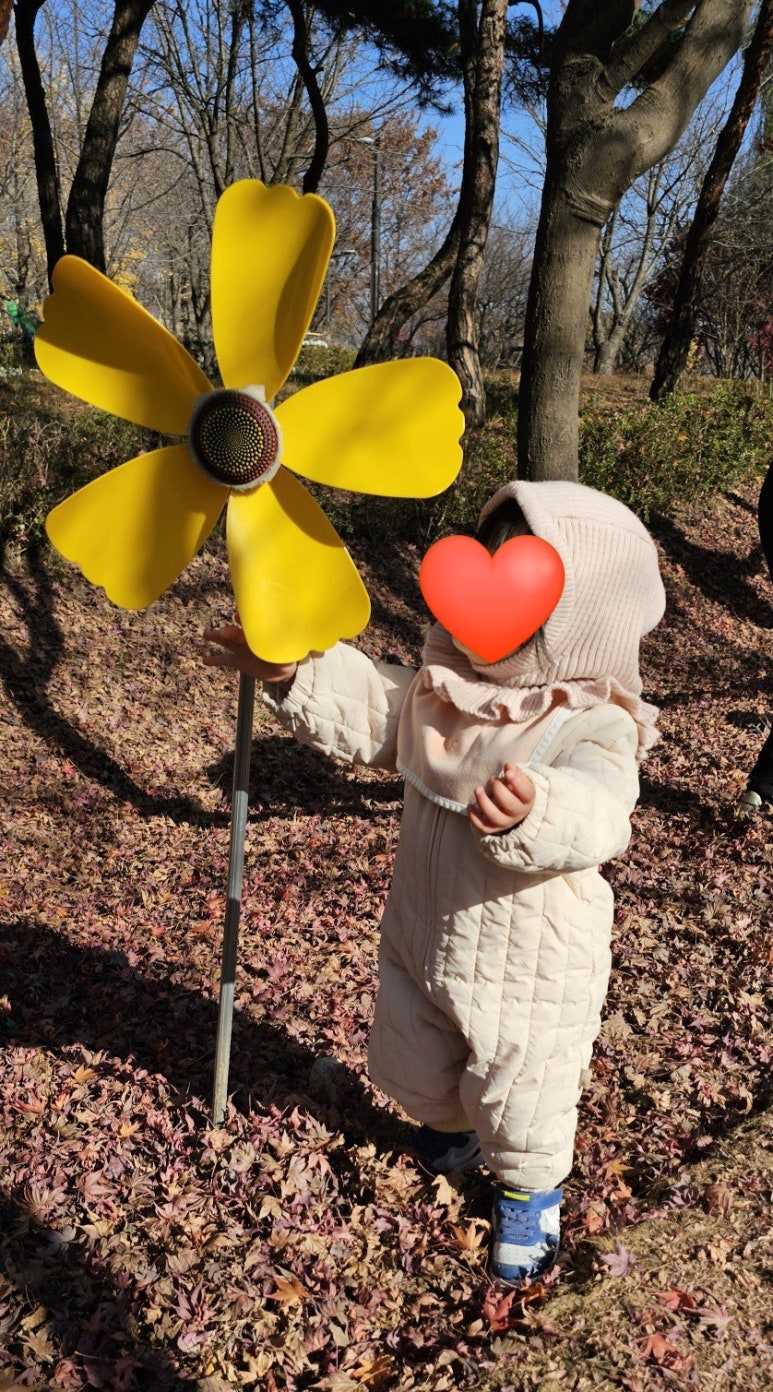 숲에서자라는아이들 이미지