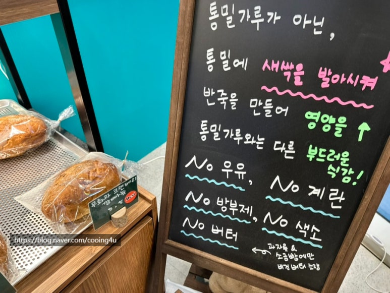 나무늘보 베이커리 이미지