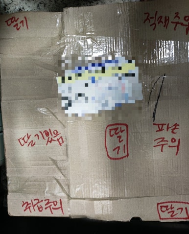 흥진과일 이미지