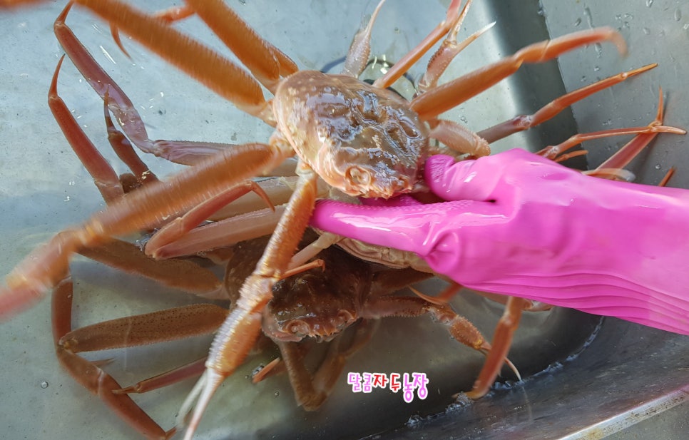 덕성수산 이미지