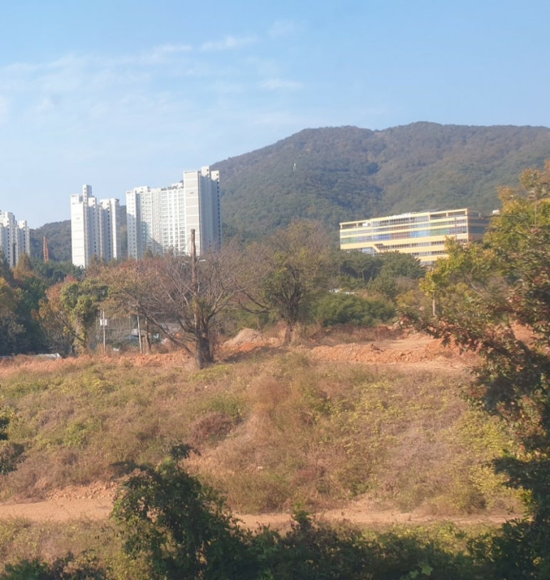 삼덕개발 이미지
