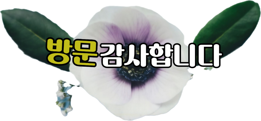 양푸마라탕 이미지