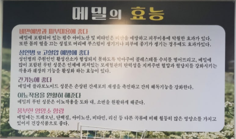 석가네막국수&왕돈까스 이미지