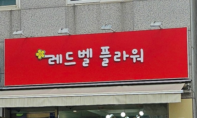 레드벨플라워 이미지