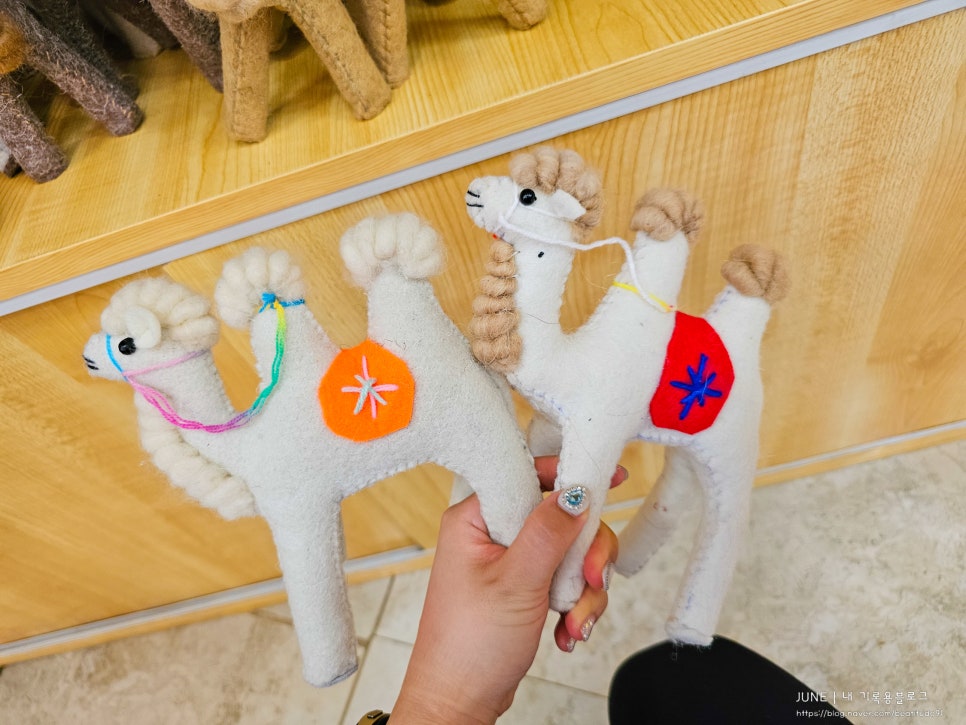 낙타샵 이미지