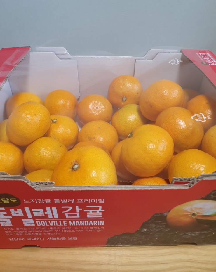 돌빌레 이미지