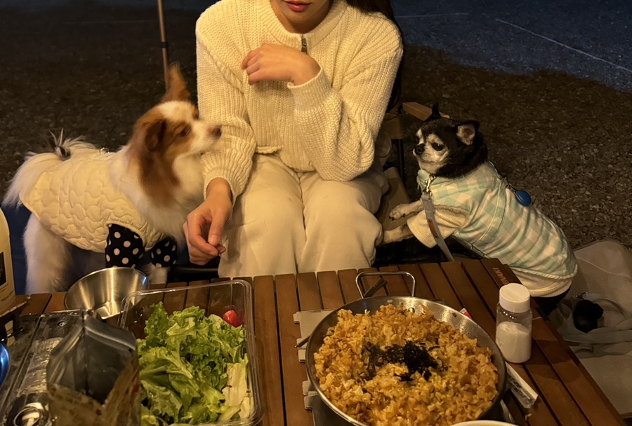 솔비치캠핑장 이미지