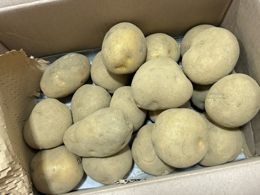 참한유통 이미지