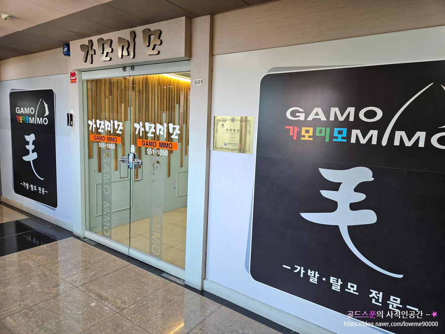 가모미모 이미지
