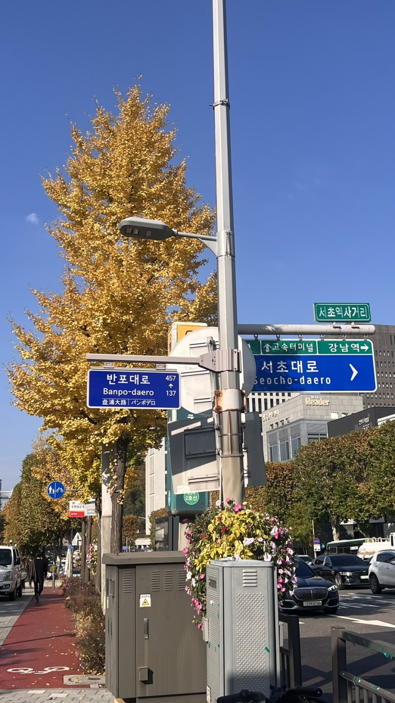 포춘케키 이미지