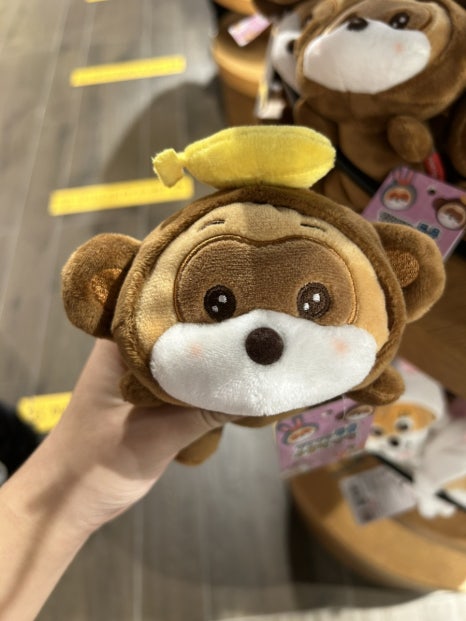제일충전소유 이미지