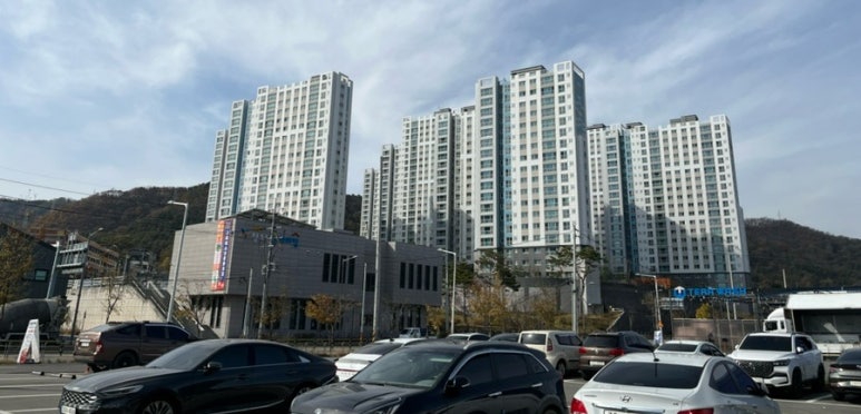 황실장어 이미지