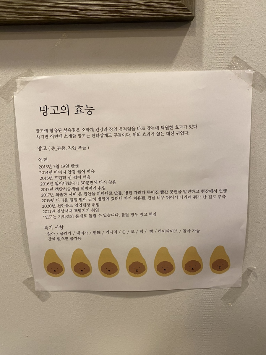 일상서재 이미지