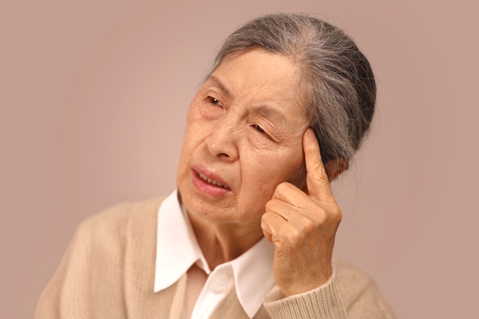 법무법인성헌 이미지