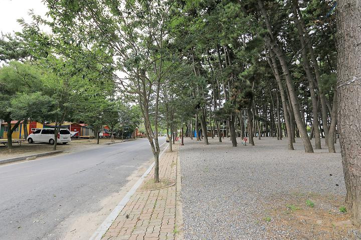 춘장대나드리캠핑장 이미지