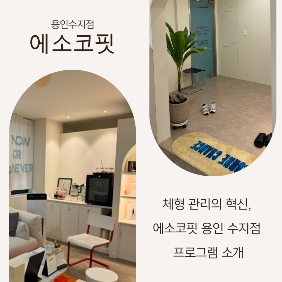 에소코핏용인 이미지