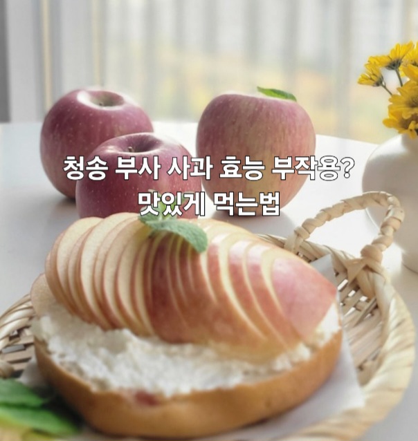 쭌마켓 이미지