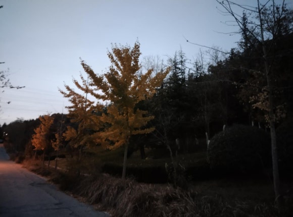 리코여행사 이미지