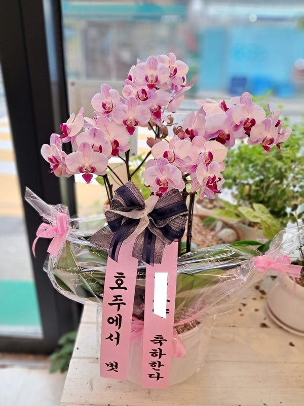 우리꽃배달 이미지
