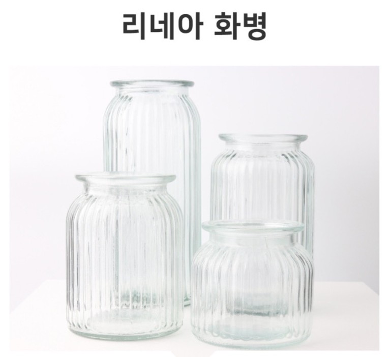 다미그린 이미지