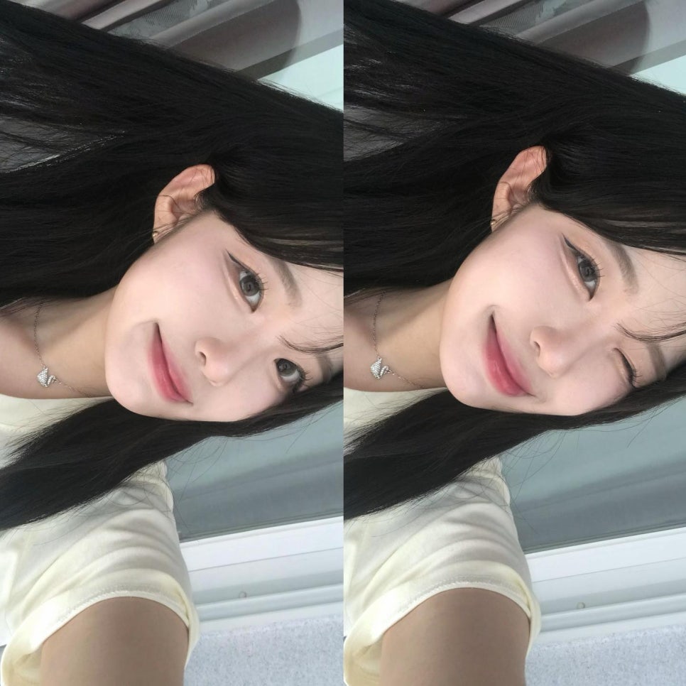 데이지드림 이미지