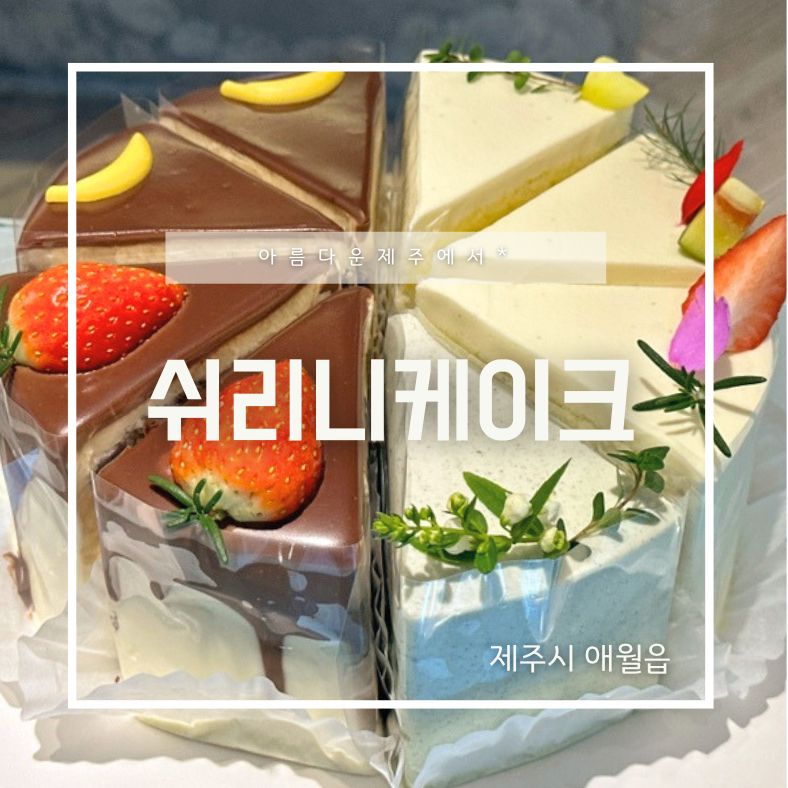 쉬리니케이크 이미지