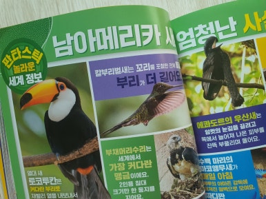 (주)토마스트래블 이미지