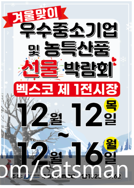 새벽전람 이미지