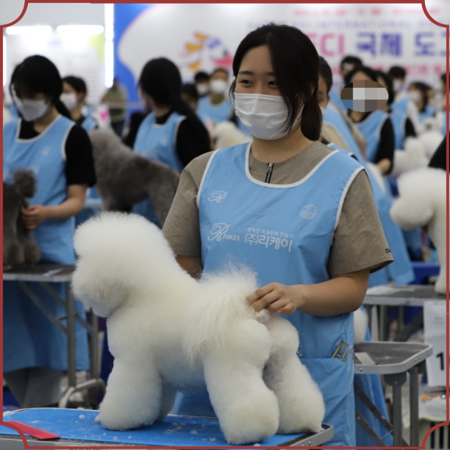 바닐라애견미용학원 이미지