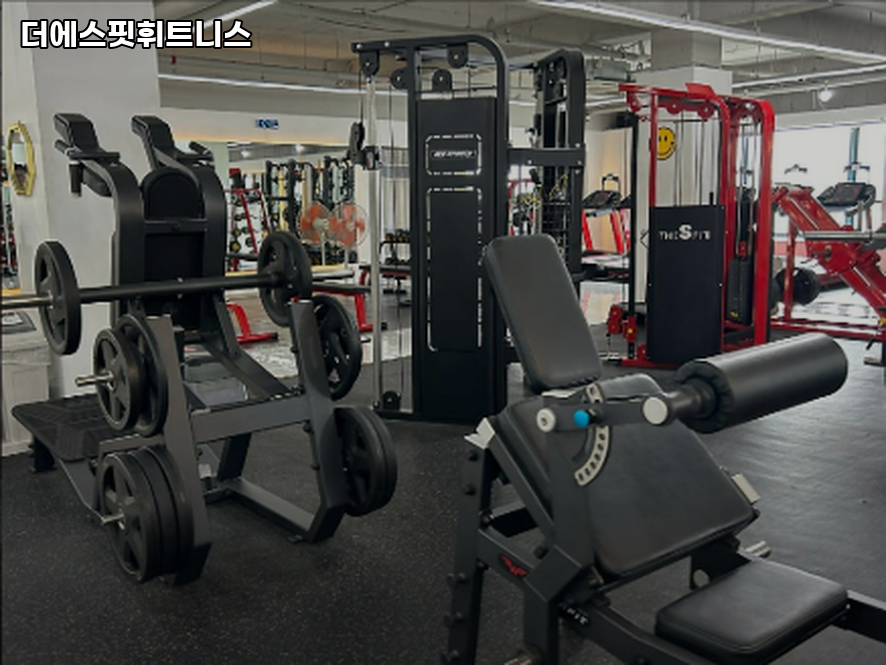 더에스핏 이미지
