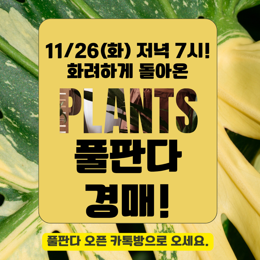 플랜츠플로라 이미지