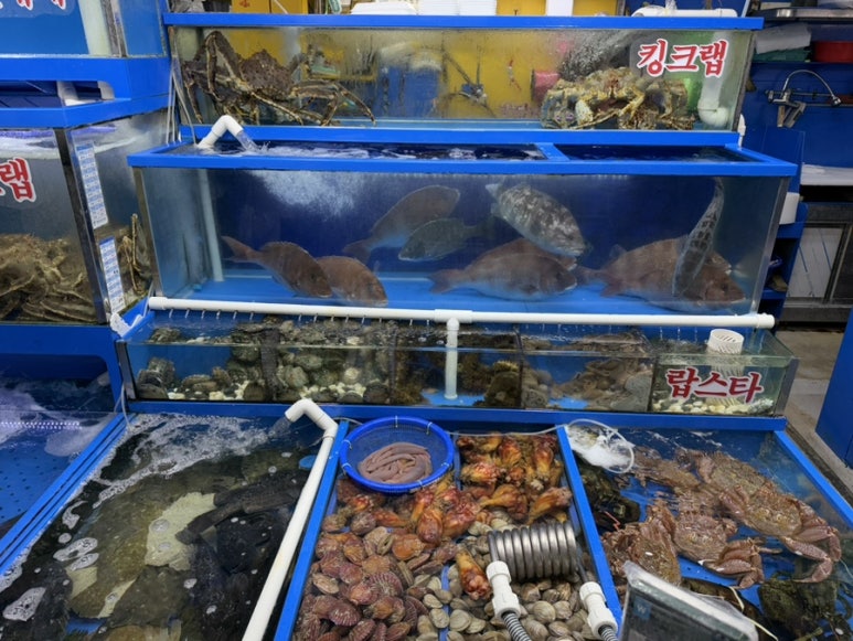 대보활어 이미지