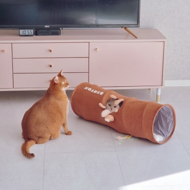 코코빈 이미지