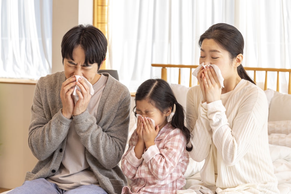 (주) 한빛나노의료기 이미지