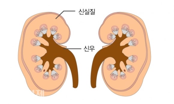 신우화학 이미지