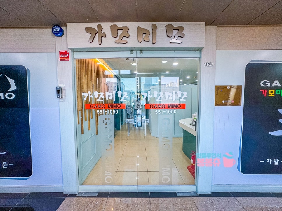 가모미모 이미지