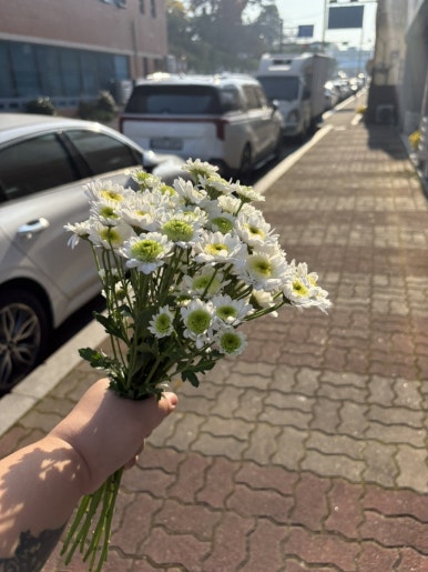 촌스토랑 이미지