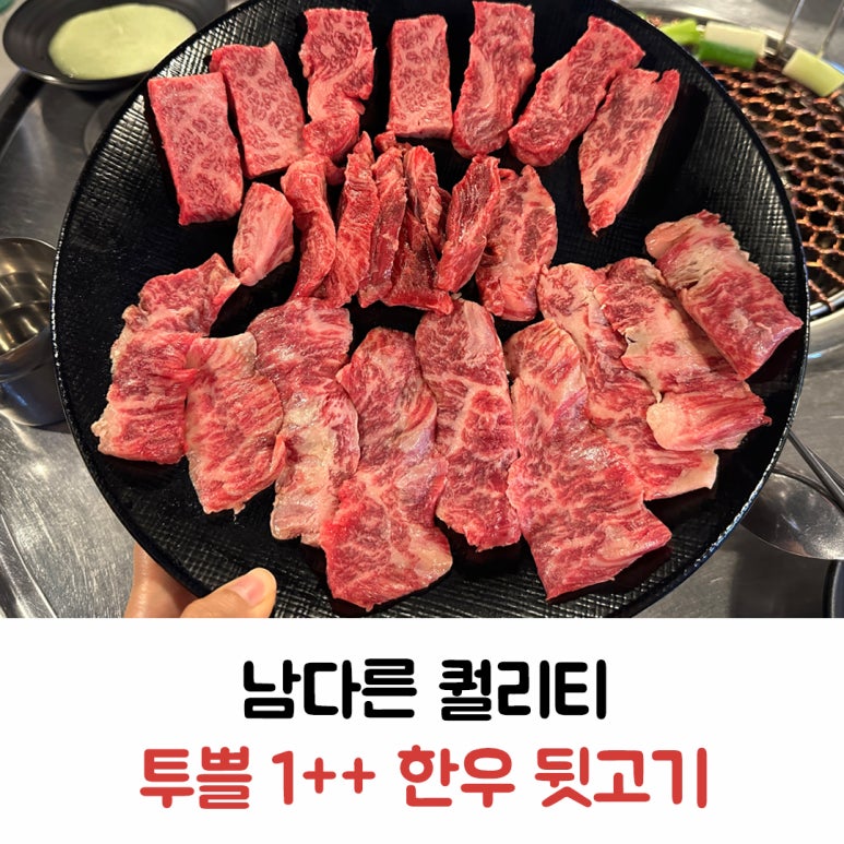 탐나는돈 이미지