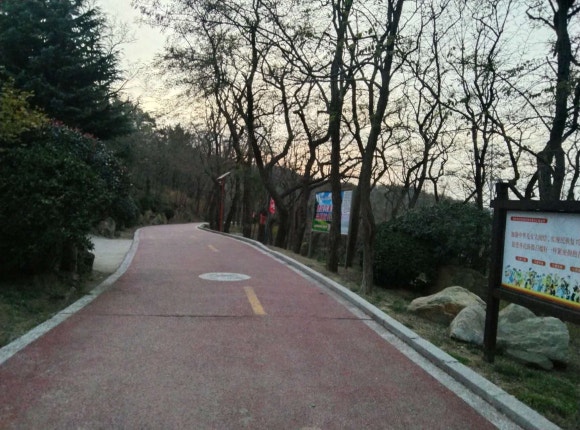 리코여행사 이미지